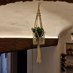 Siculi