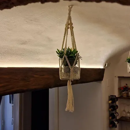 Siculi