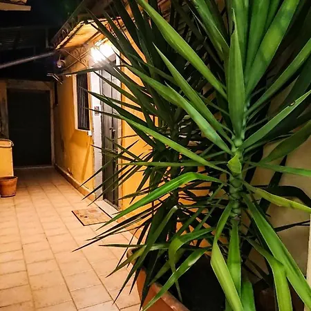 Appartement Siculi *